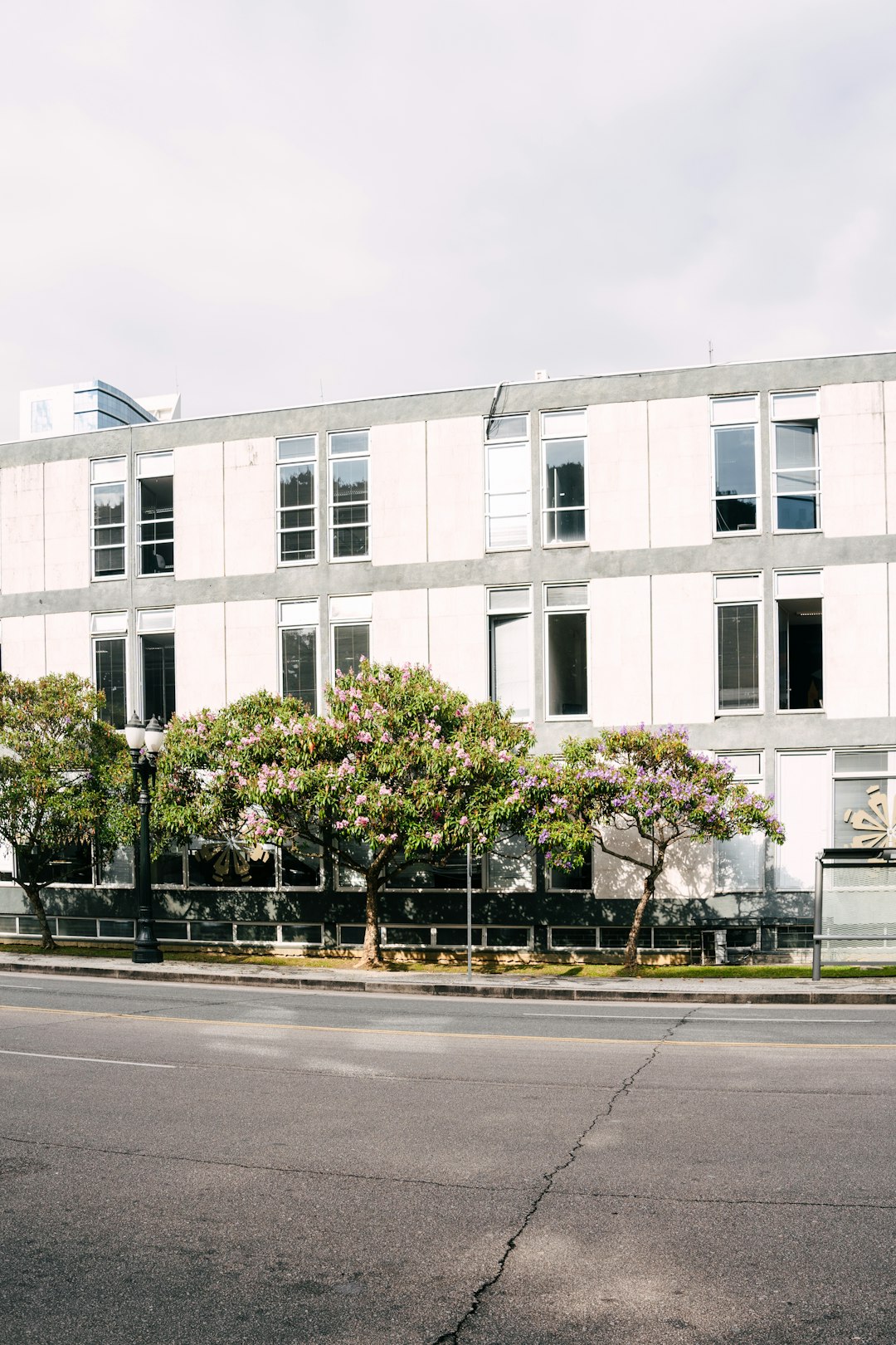 modern-building-with-trees-in-front-on-a-street-bhxpoabm3ui
